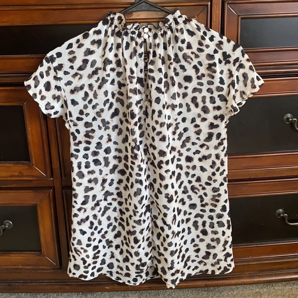 Express Top - Picture 2 of 4